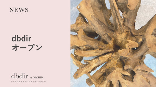 『dbdir』オープン!