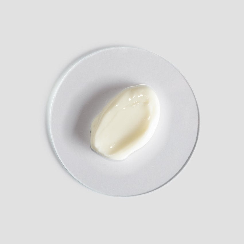 RENIGHT|クリーム